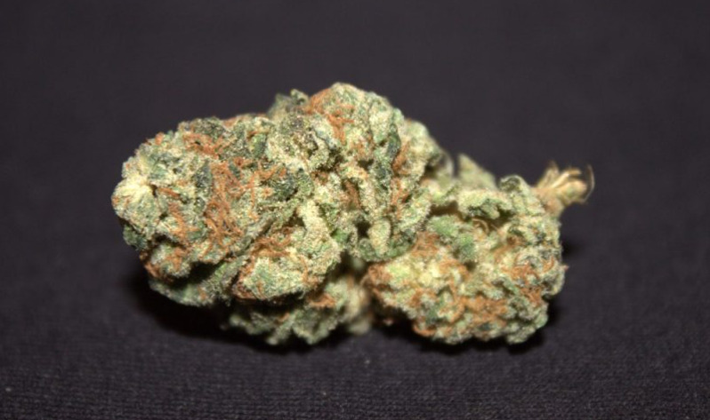 A sample of Deadhead OG from Colorado shop Oasis Cannabis Superstore in Mountain View. (Sohum Shah, The Cannabist)