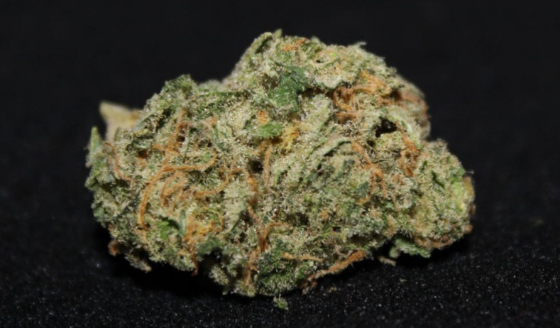 A sample of Hawaiian Sativa, grown in Colorado. (Sohum Shah, The Cannabist)