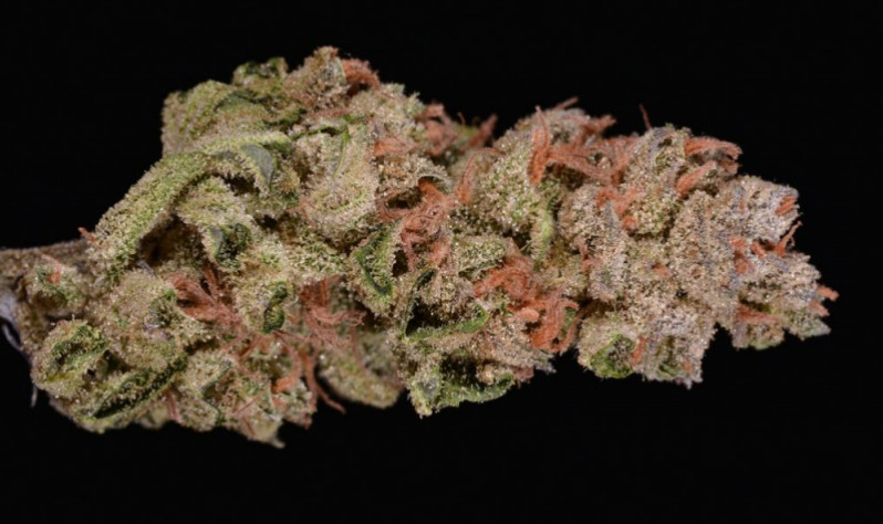 An example of Moonshine Haze from a Colorado dispensary. (Ry Prichard, The Cannabist)