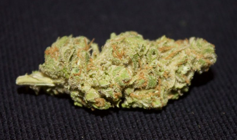 A sample of the Snozzberry strain, grown in Colorado and purchased at Lucy Sky Dispensary. (Sohum Shah, The Cannabist)