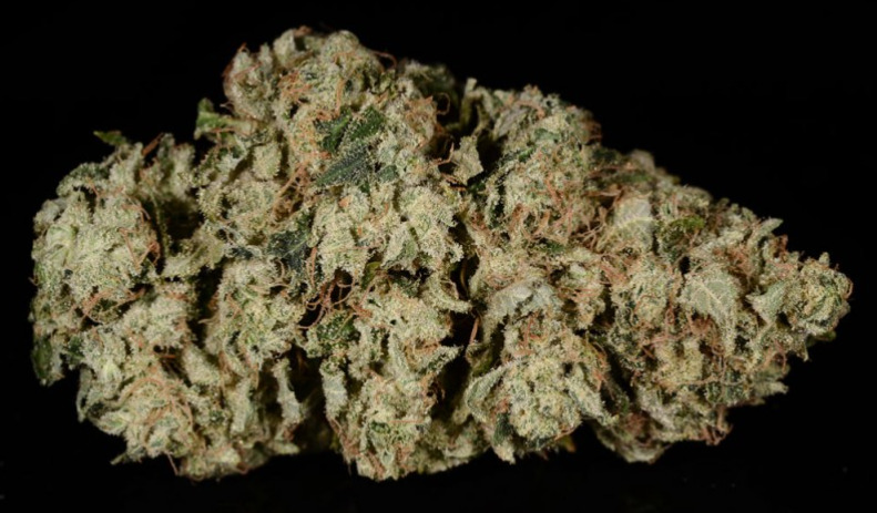 An example of Ultimate ''91 Chem Dawg from Colorado marijuana shop Denver Relief. (Ry Prichard, The Cannabist)